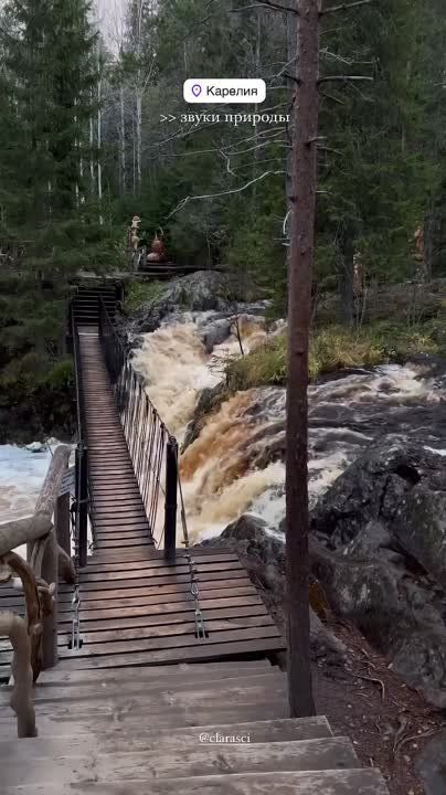 C���� ��������� � �������