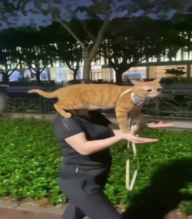 �������� ������ ��� ��������� ���������