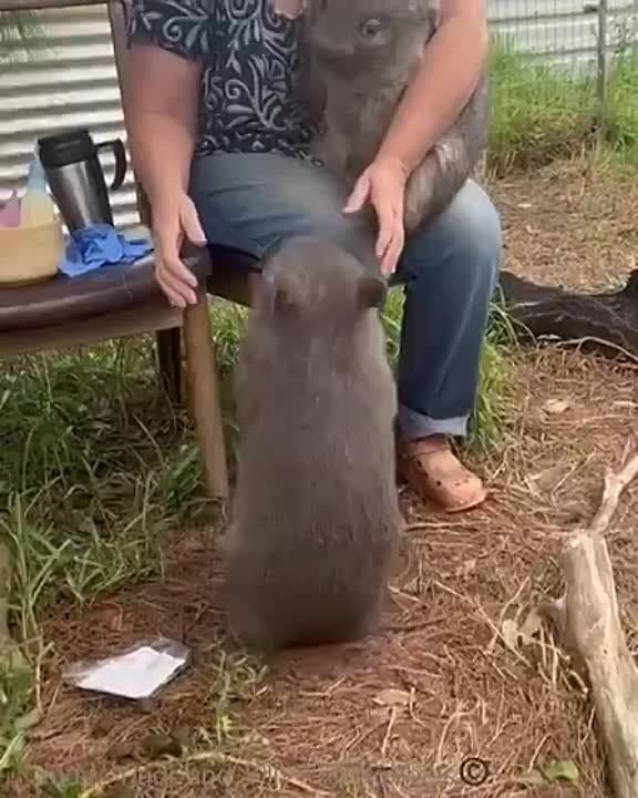 ������ ������� ������ ���� ����������� ��������, � ��� ����� � ���������