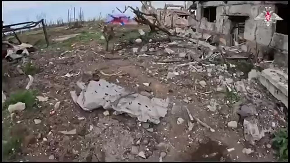 ���� �������� - "�����"