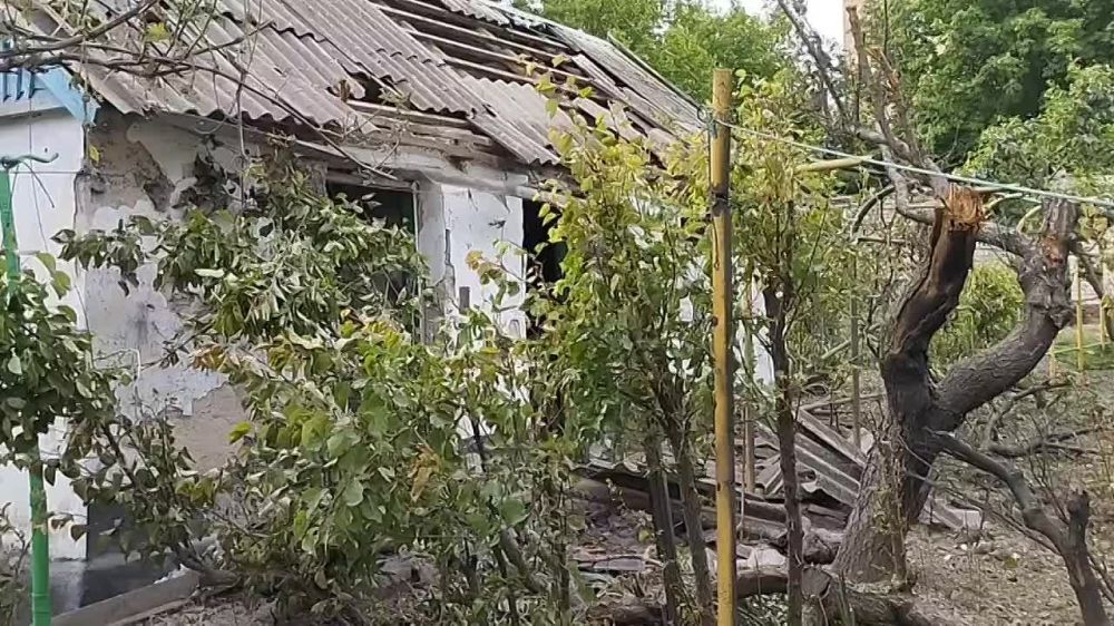 ������� �����������: �������, 20 ��� 2024 ���� ���� ������ ���������� ����������� ��������� �������� �� ������� ���