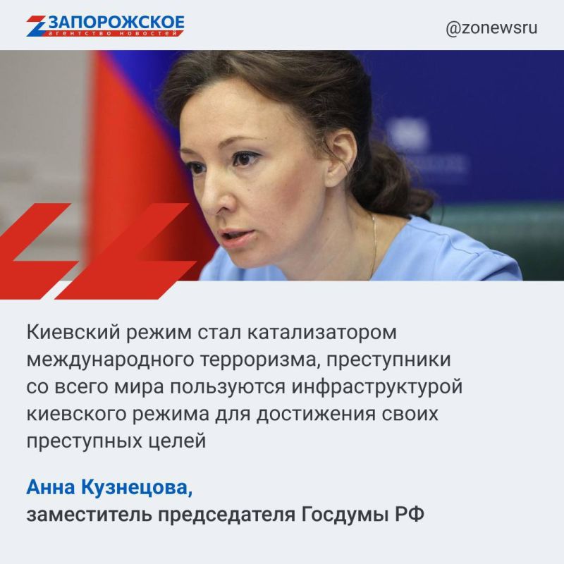 Преступники со всего мира пользуются украинской инфраструктурой для совершения преступлений против РФ