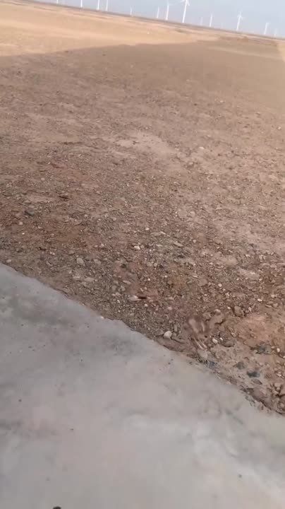 ���������� ���������. ����� ������� ��� ����� ����� ������� ��� ��������������. ��������� ������� ������ �����, ����������...