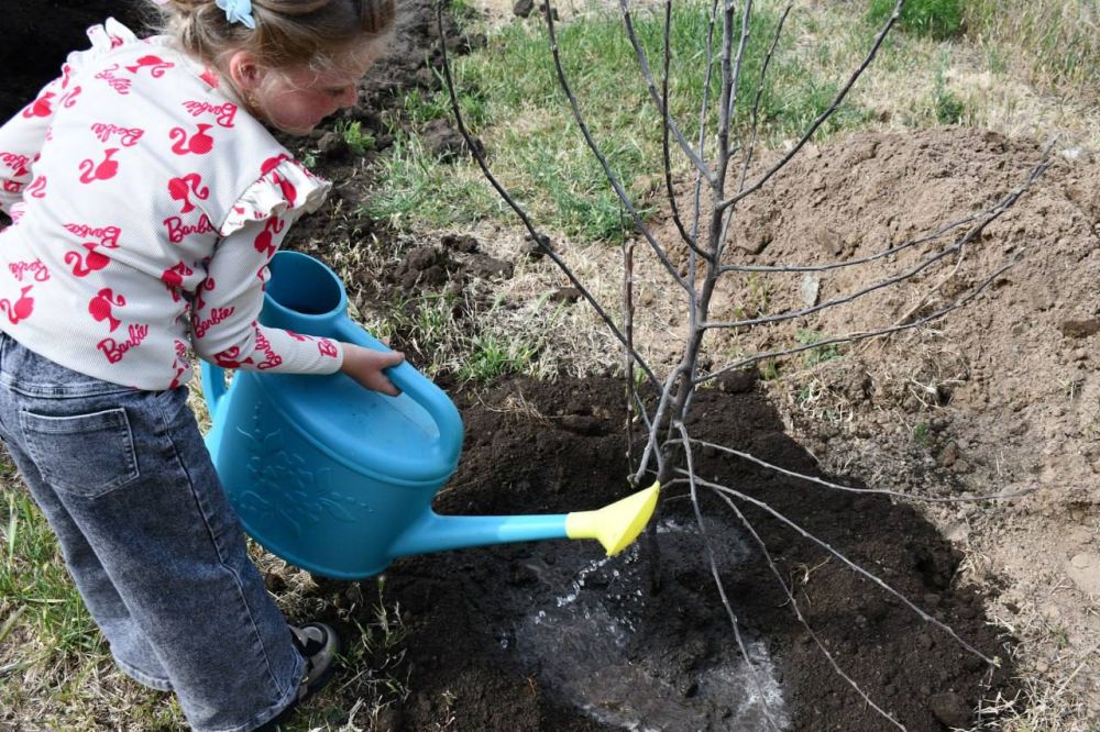 ����������� ������������� ����� ������������� � ������������� ��������� ����� "��� ����� ���������"