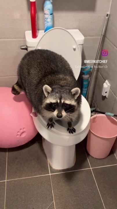 ������ ����, ������! �������� ��� ��� � ��������� ����������!