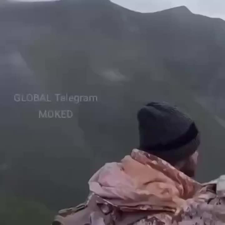 ������� � ���� � �������� �������� ���������� ����� �������� �����: