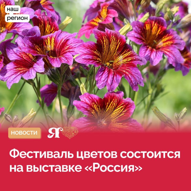 ����� 100 ��� ������ ������� ��������-����� ��������
