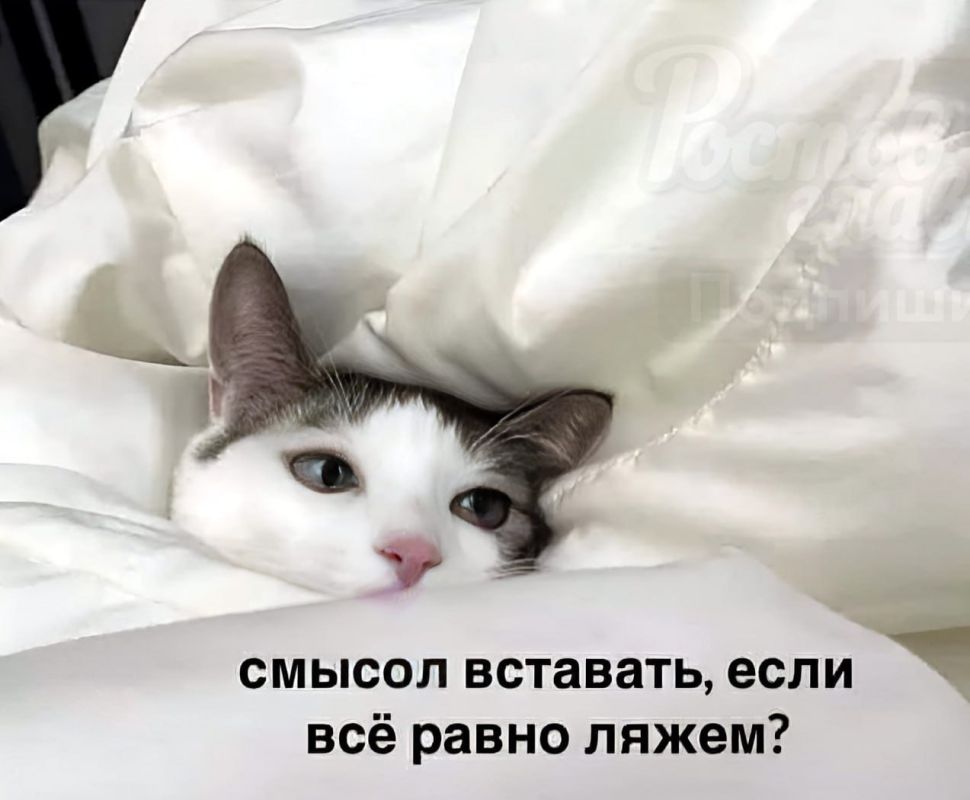 �� � � ��� �� �� ����?. �������������