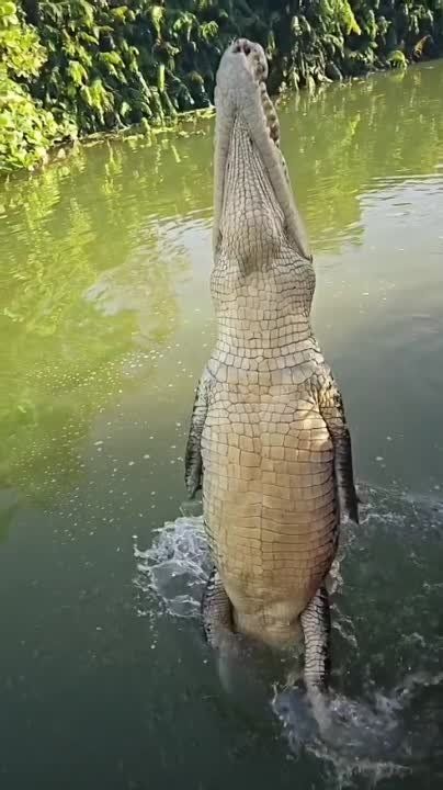 ������ ��� ������ ����, ������������� �� ����? ��� �������� ��������� ������� ������������ ������