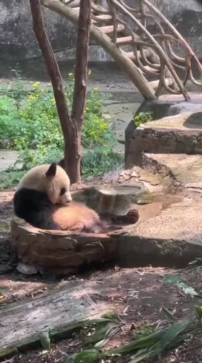 ����� - ����� ������� ��������, ��� ������ ������� ��� �����