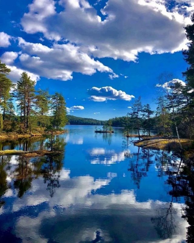 � ������ �����! ����� ������ ���� ���� ���������� � ������� ������, ������� �������, ������� ����� � ��������� ����������!