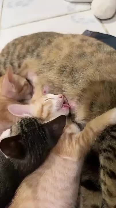 ��������� ����!