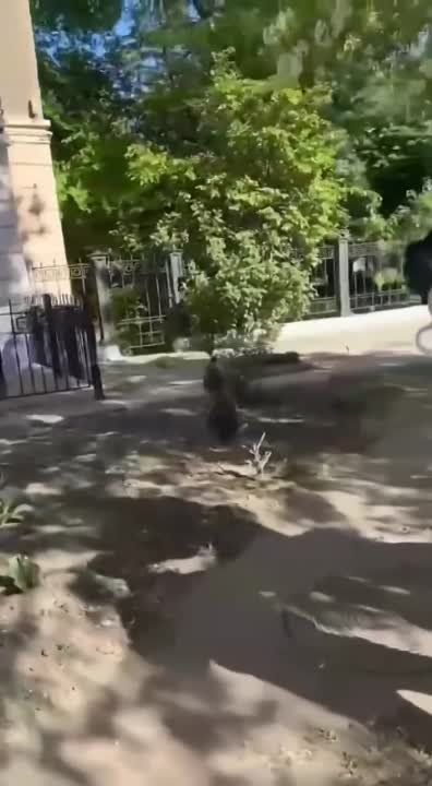 ����� � ��������� ����� � ������� ���������