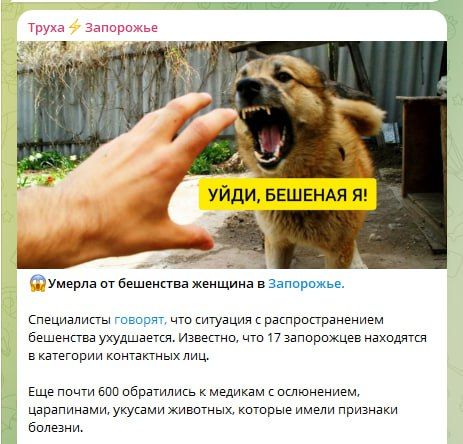 ���� � ����������� ������� ���� ������ ��� ������� ��������� ��������, �� ������������� � �����������, � ��������� ���������������� ��������� � ������ ����