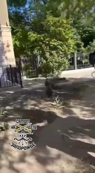 "�������, �� ������ ���� �� ������ ������ � ���� �������� ������?!"