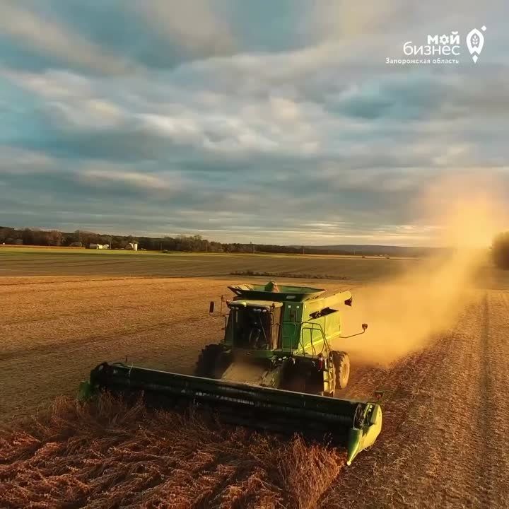 ������ �� �������� �����������: ������������ ���� �������� � ����� �������