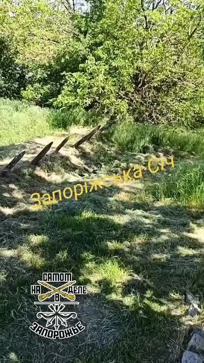 �������� �������������� �������� ������� ���������� ����� ���������