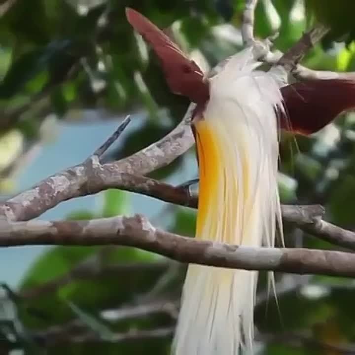 ������� �����. ��������� ������� ����� �������� ����� ��������, ��� �� ������� �� ������ ������, � ������ �� �� ����� ����� ���� ���������� �����������