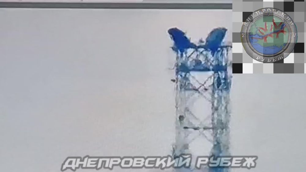 ����� �����: ����������� �����������