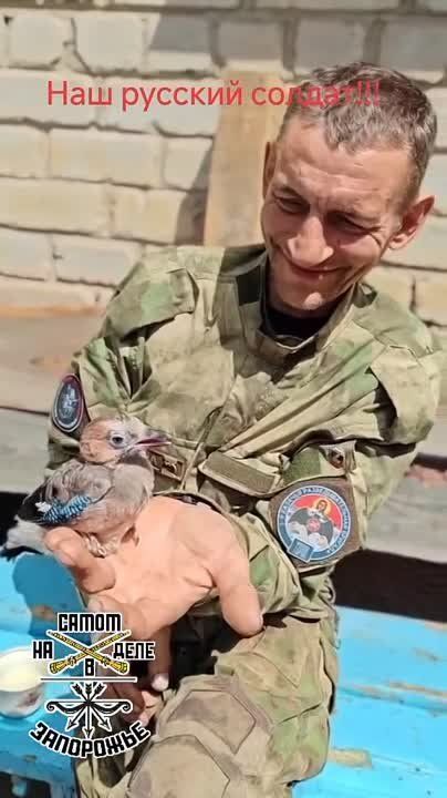 ������� ������ ���. �������� "����" � ����� �����