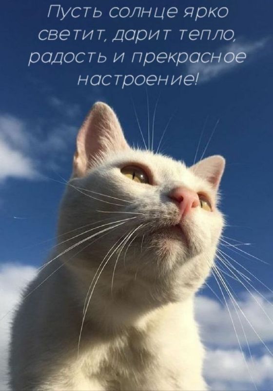 ������ ����!