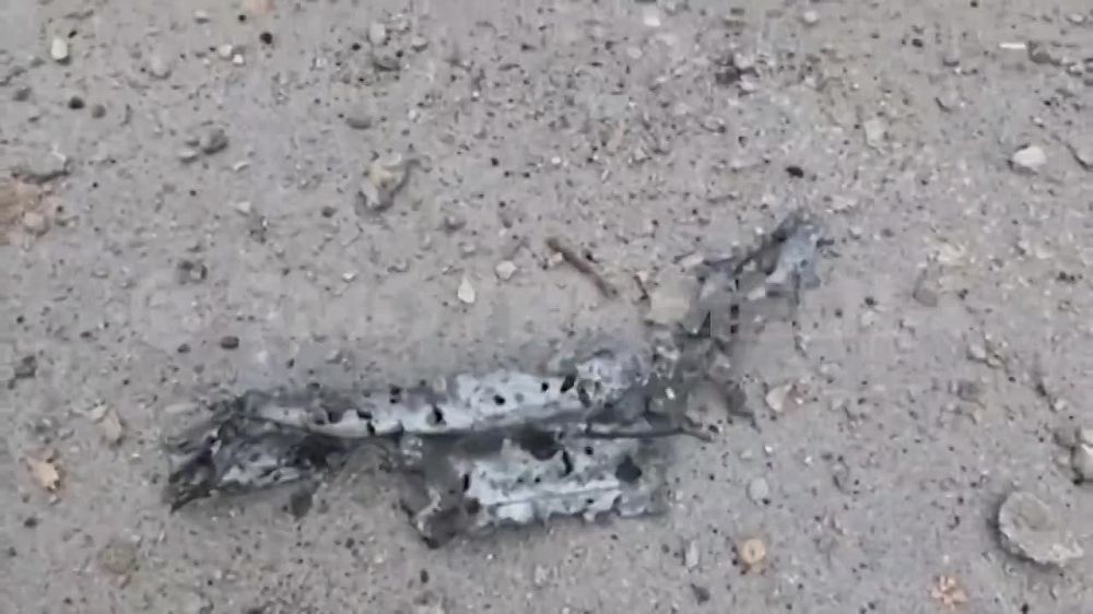 ����� ��������� ����������� �������� ������� ��������� ����������, ������������ �� ��������� ���