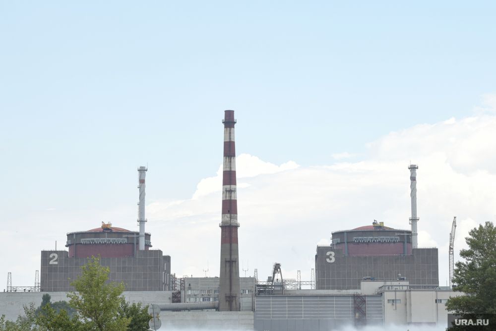 ���� ����������� �� �������� ����� ����������������