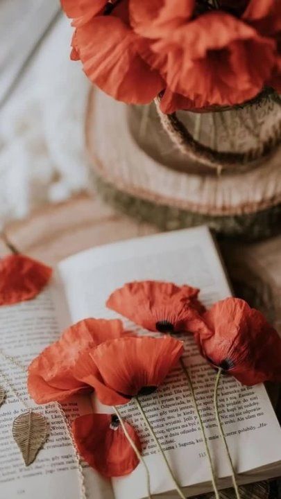 24 ��� 2024�