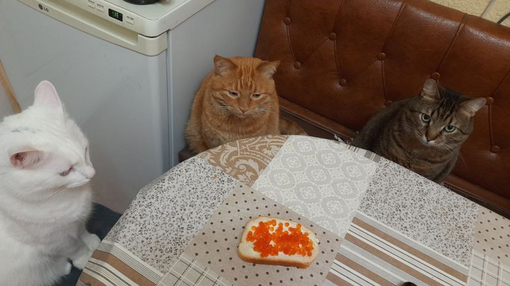 ����!. ��������� ��������!! �������������� ��