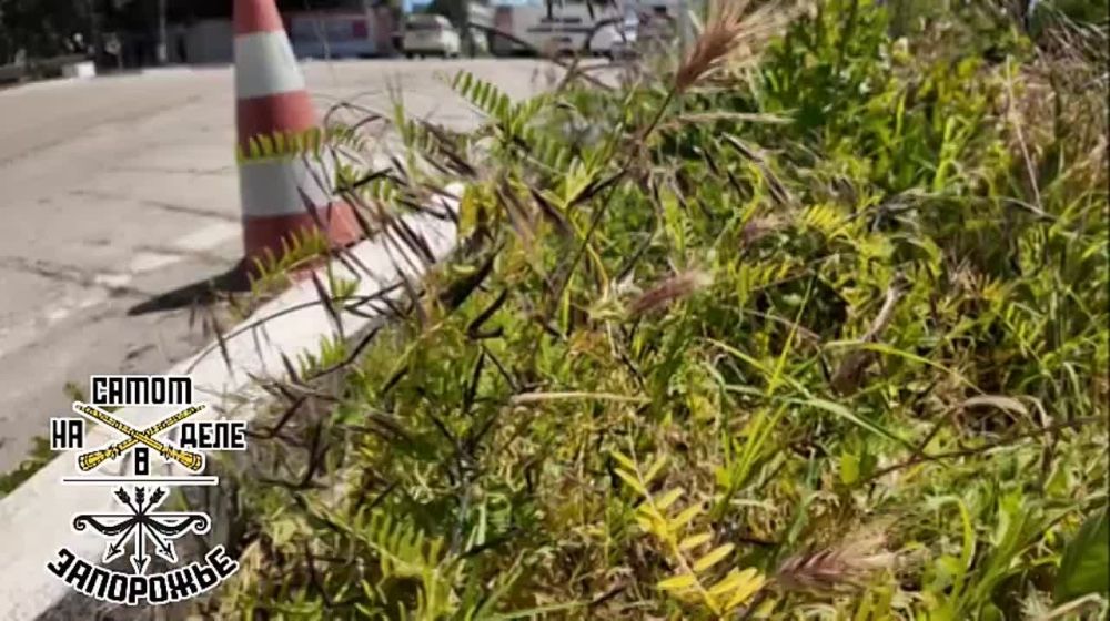 �������� ����� ����� �������� ������ �� ����������� ����������� �� ��������� ������ ���������� ��������