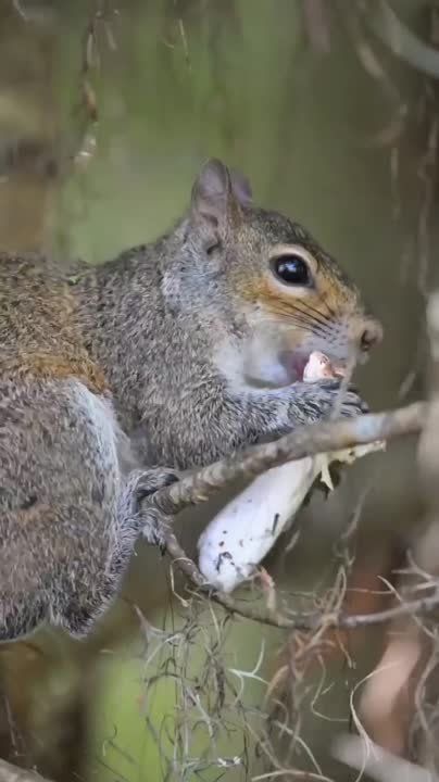 ������� ������� ����. ��� �������� ����������, �� � ����� ������ ����������. ����� ����� �������� ���������� ����������...