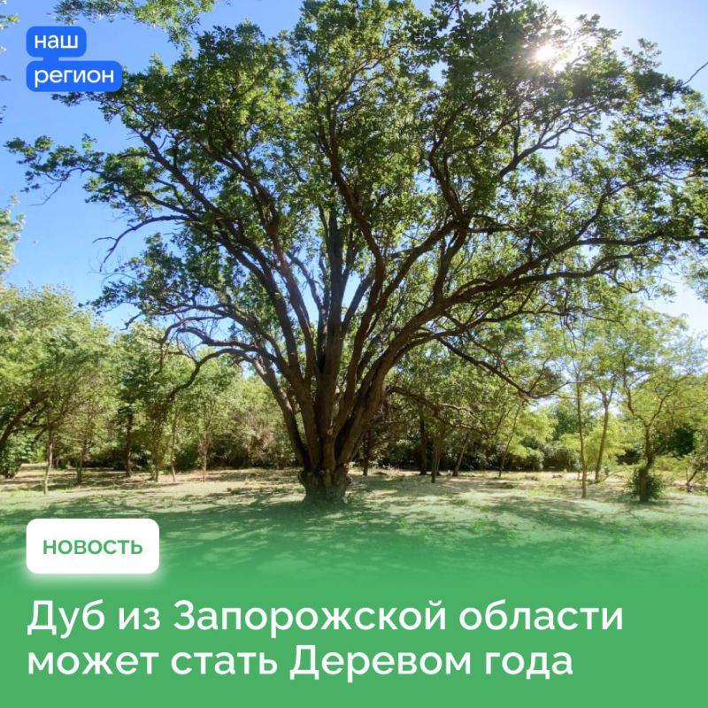 ����������� ��� �� ����������� ������� ��������� �� ������������� ��������