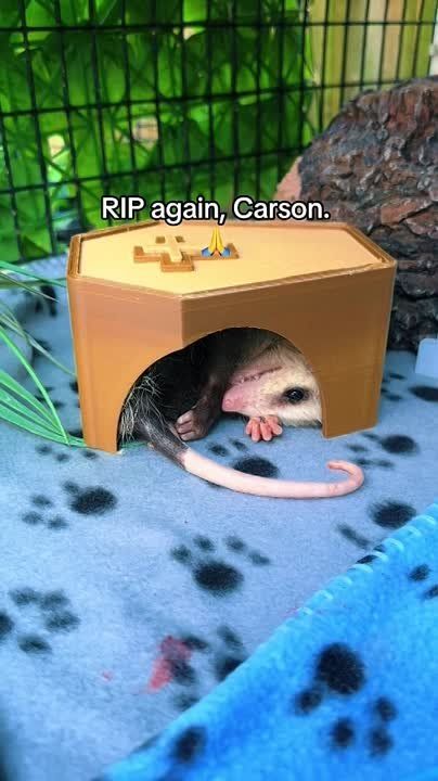 ��������, ��� ���� ��������� � ����� ������� ������ �����, ��� � ������� �������� �������