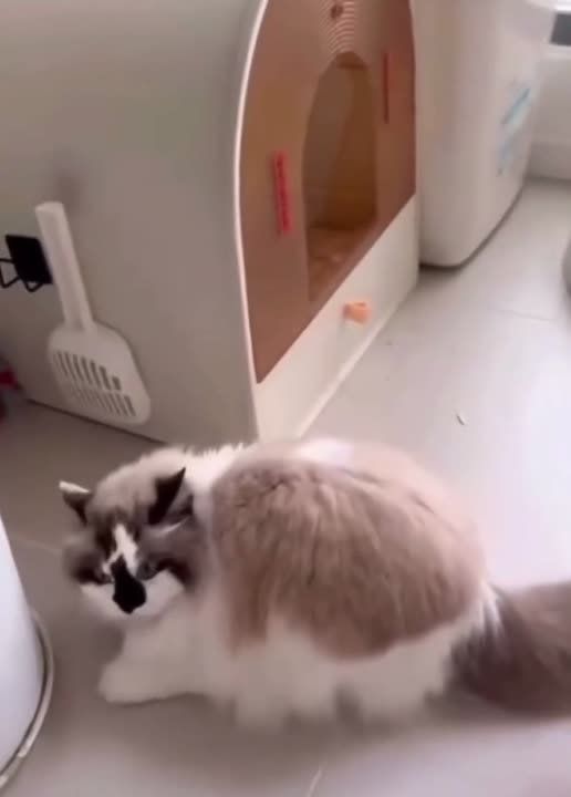 ����������� � ����� ������� ������!