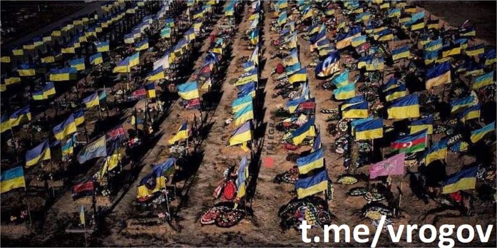 Владимир Рогов: =Совокупные потери ВСУ за неделю составили 11 205 военнослужащих