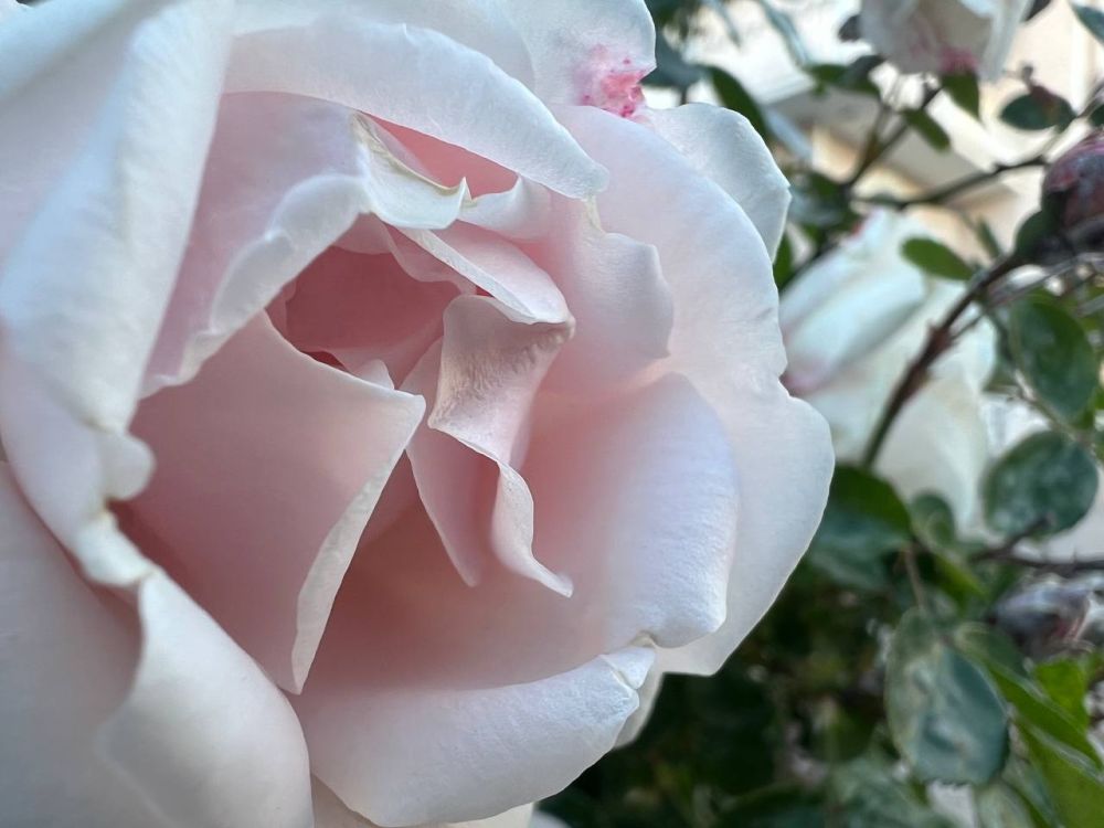 ������ ������: ������� � ��������� ���� ������ ��� ���� ���������� ��������� �� �����������