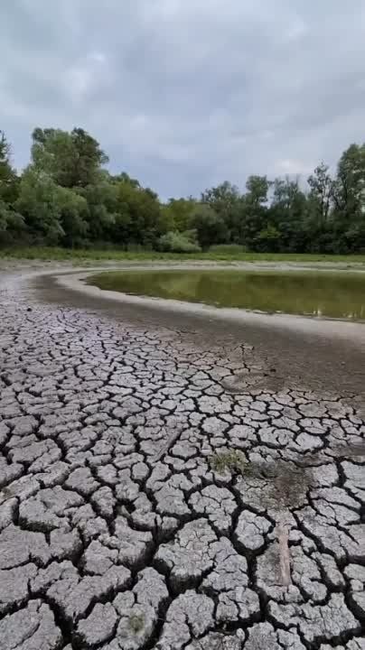 ����� � ������� ������� ����������� ��������� �������