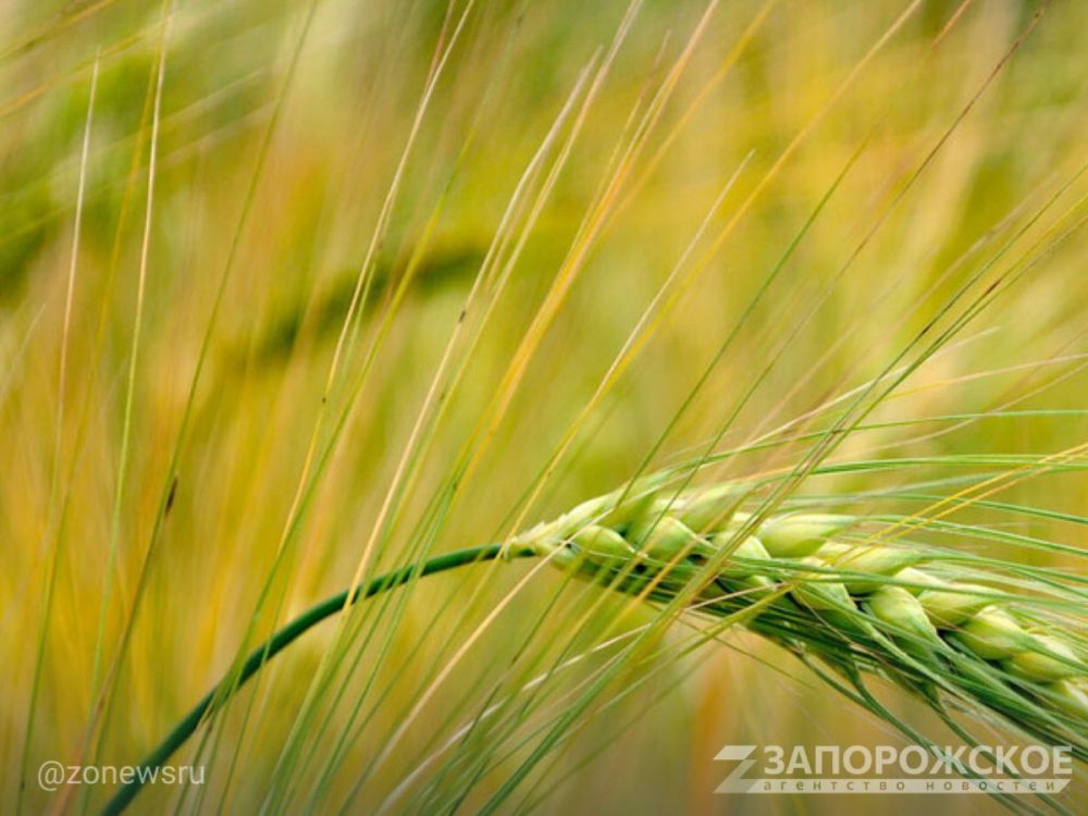 ���������������� ������ ��������� �� �������� ������ ����� ������ ������