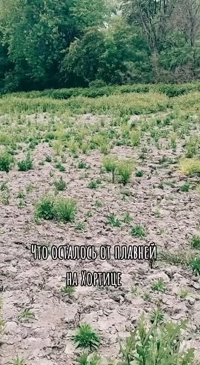 ������� ������� ��� ����� ���������, ���������� �������� ����� ����