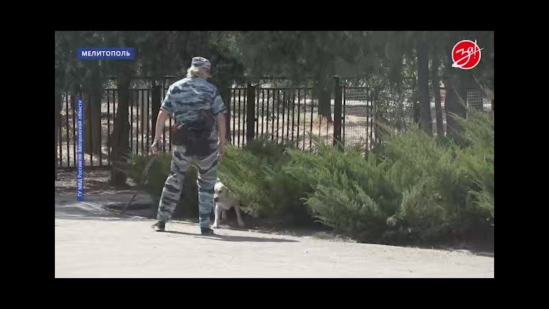 ��������� ��� ����������� ������� ���������� ������������ �� ����� ��������� �������