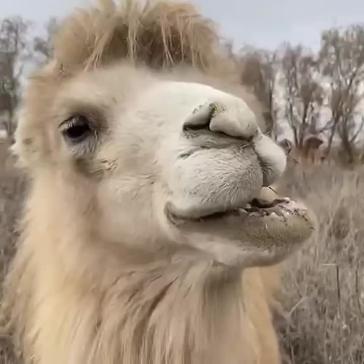 ����� ������� �������� � ���, �������, �� ���, � ������ �������