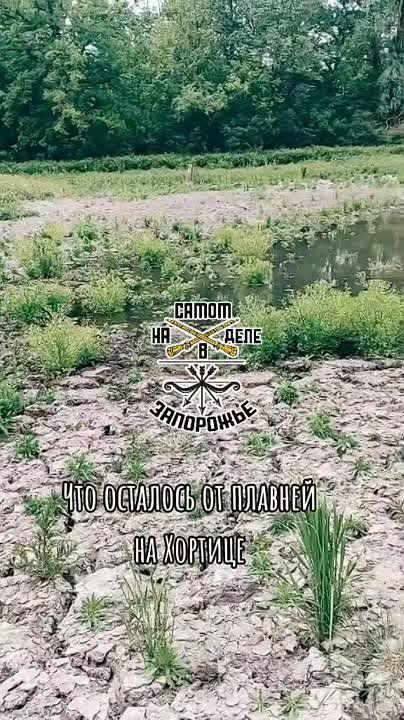 ����� ���������, �������� �������������� �������� �������