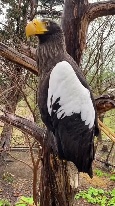 �� ������� �������� ���������� �������������� - ���������� ������ �� �������� � ����������� ��������� �������� ������, ����� "������" ��� ����� ���� ��������� �� ���������� ���� 30 ����� � ����