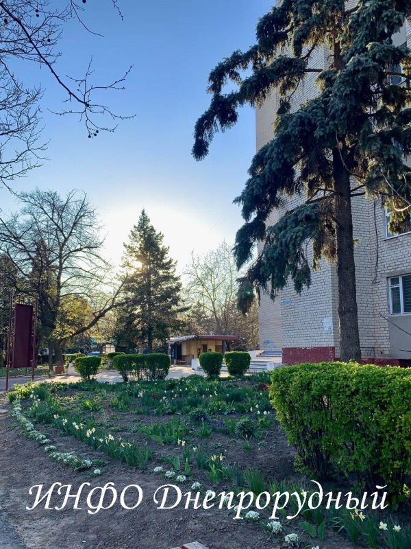 В это утро искренне желаем