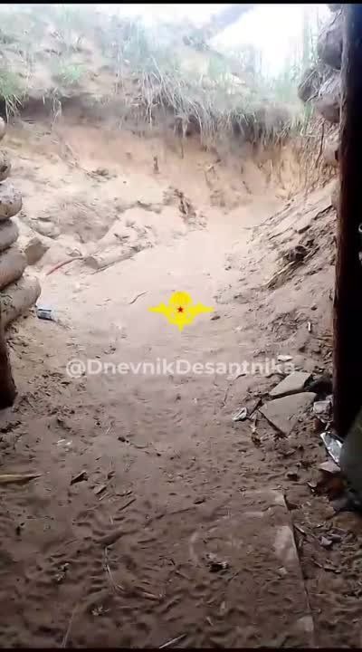 ����������� �����������