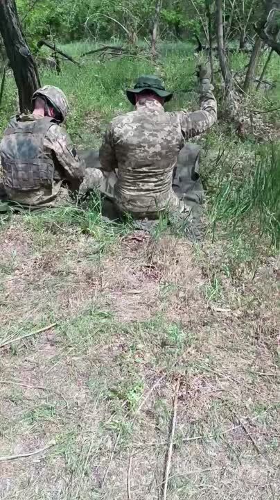 ��������� ���� ����������� �� �������