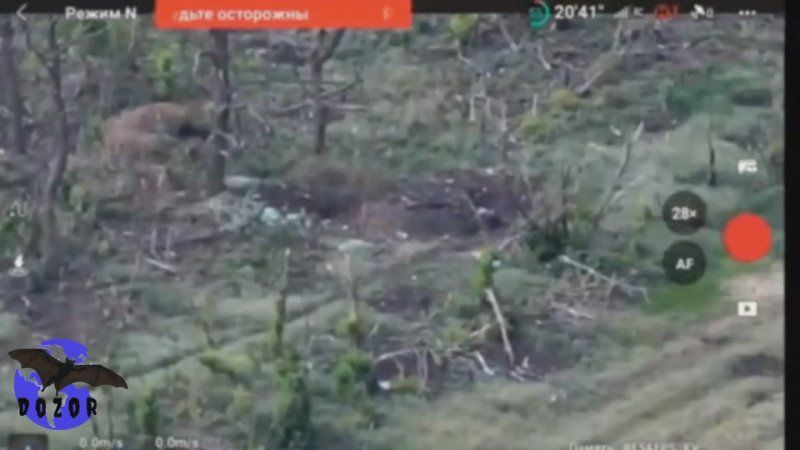 ����� � ����� ������: �� ����� �� �������!