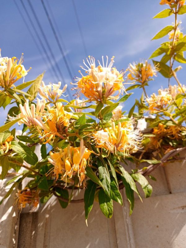 ������� ���� , ������� ������������!