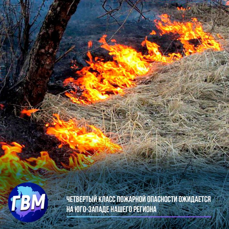 ��������� ����� �������� ��������� ��������� �� ���-������ ������ �������