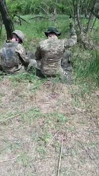 ����� ���� �� �������� ����������� �� �������?